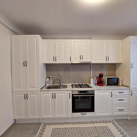 Trandafirului Residence Central Szucsáva Kültér fotó